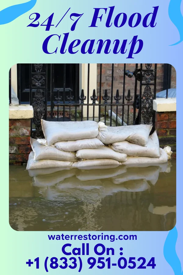 24/7 Flood Cleanup in Los Indios, TX