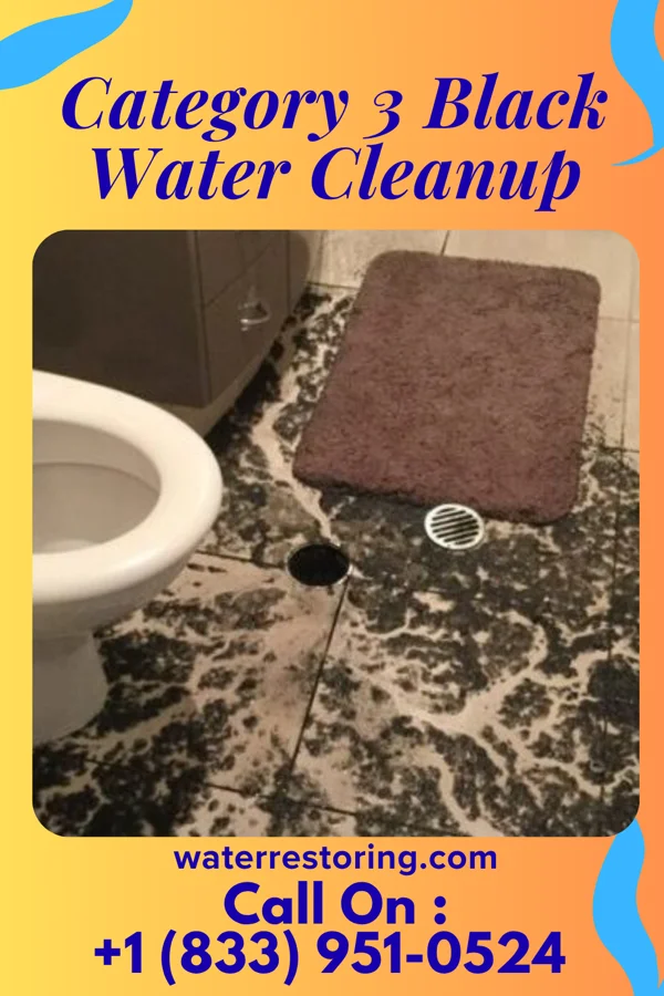 Category 3 Black Water Cleanup in Los Indios, TX