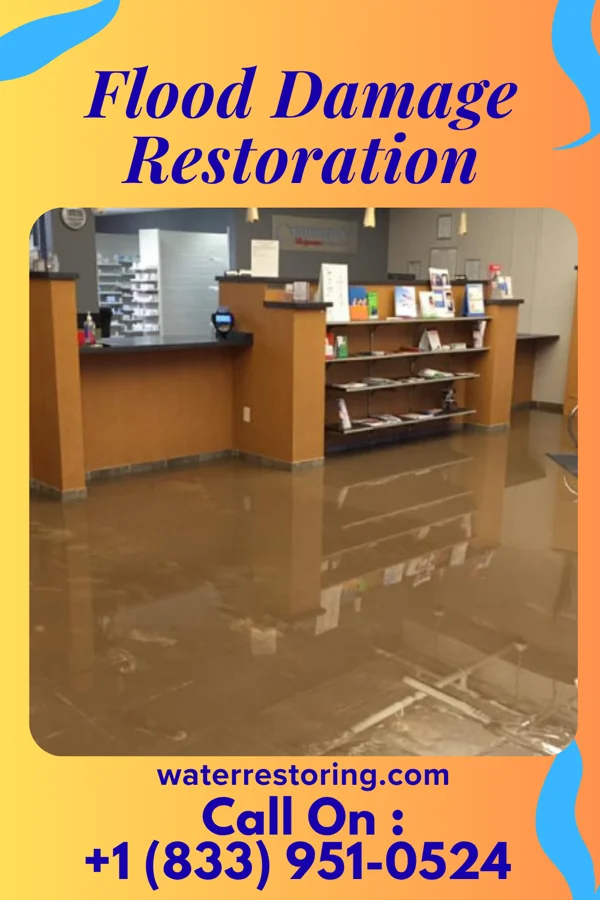 Flood Damage Restoration in Los Indios, TX