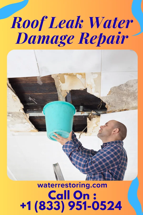 Roof Leak Water Damage Repair in Los Indios, TX