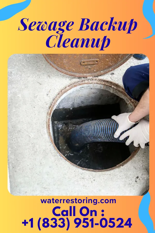Sewage Backup Cleanup in Los Indios, TX