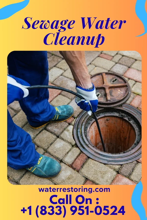 Sewage Water Cleanup in Los Indios, TX