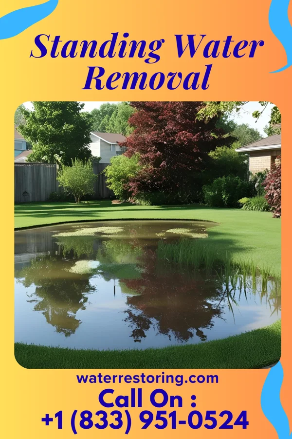 Standing Water Removal in Los Indios, TX